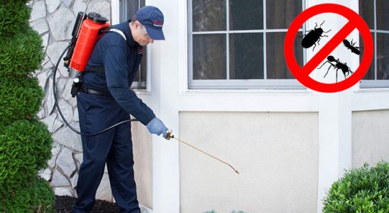 Tortum Dezenfeksiyon böcek ilaçlama ve haşere kontrolü — ilaclama-tr.com